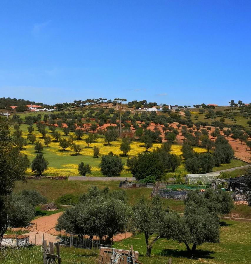 Refugio Do Bem Estar Hotel Cercal do Alentejo Ngoại thất bức ảnh