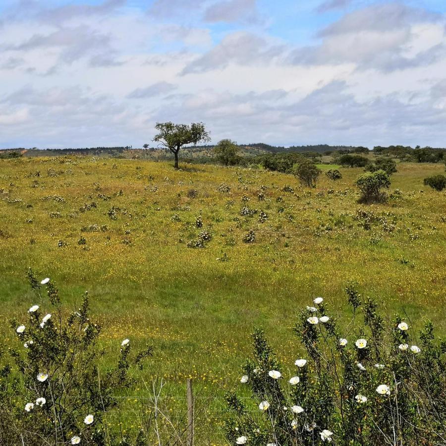Refugio Do Bem Estar Hotel Cercal do Alentejo Ngoại thất bức ảnh