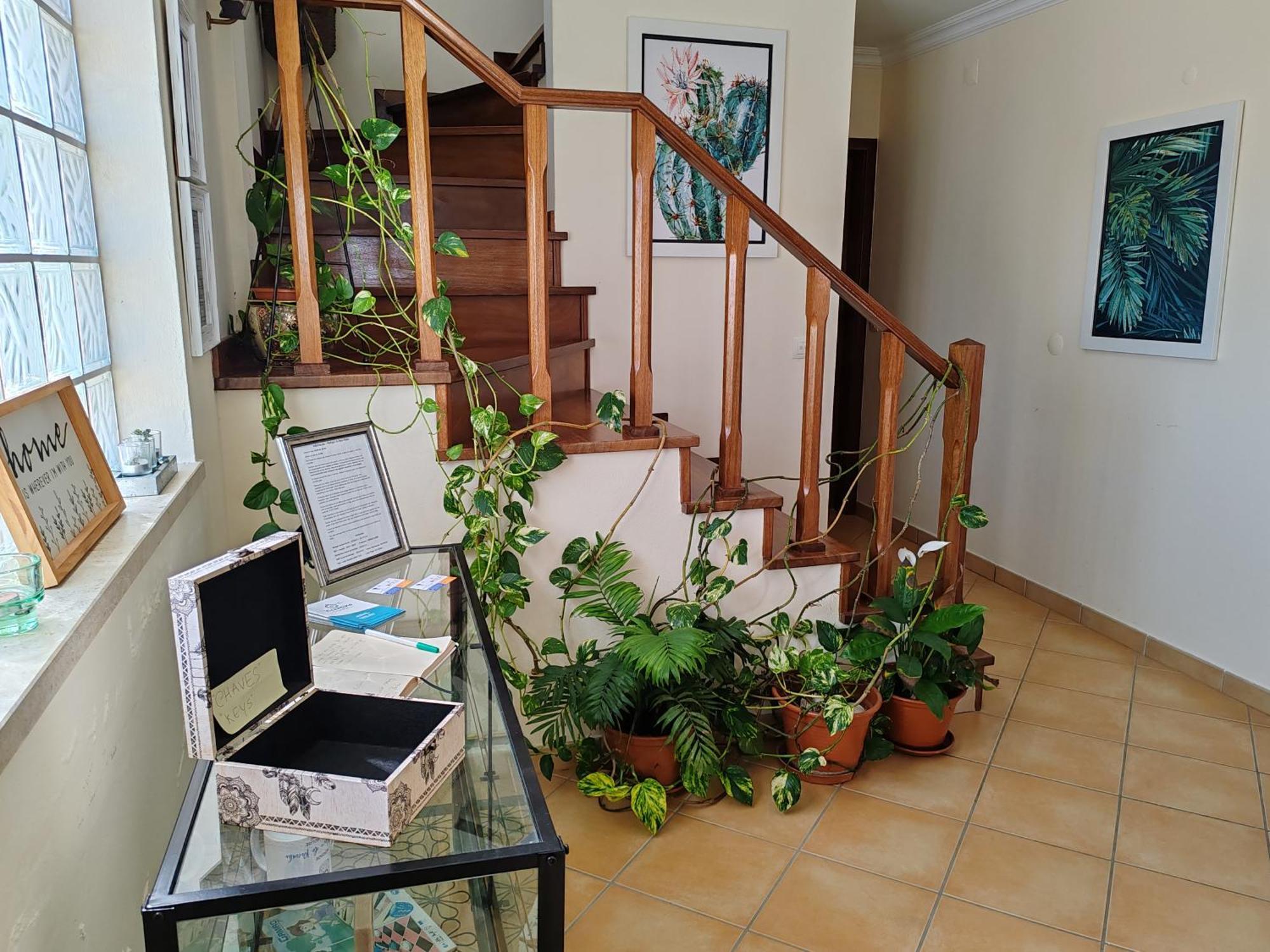 Refugio Do Bem Estar Hotel Cercal do Alentejo Ngoại thất bức ảnh